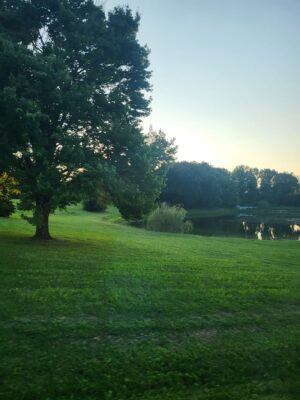 1_xf7LXtaNUXjlyffTVgPtLg