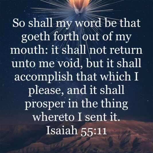 8d32d1c94ec78965f8bab82f297d41fc