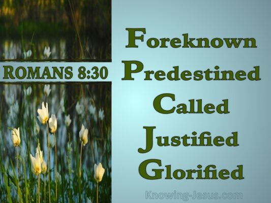 Romans 8-30 Predenstine Called Justified Glorified blue