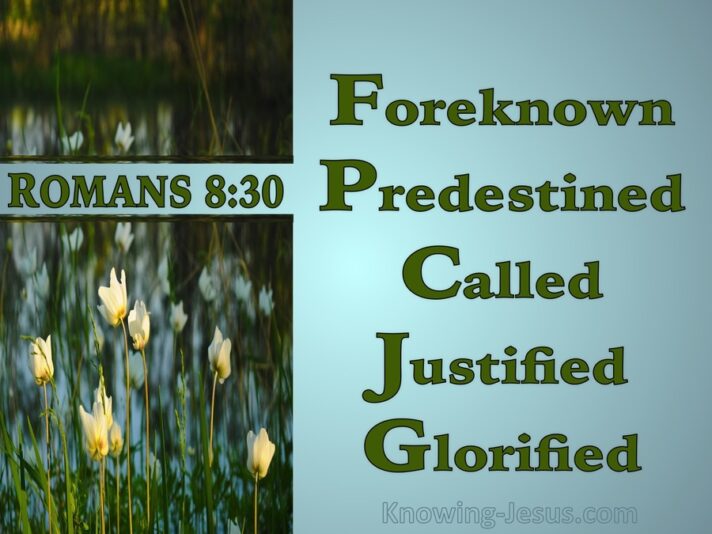 Romans 8-30 Predenstine Called Justified Glorified blue