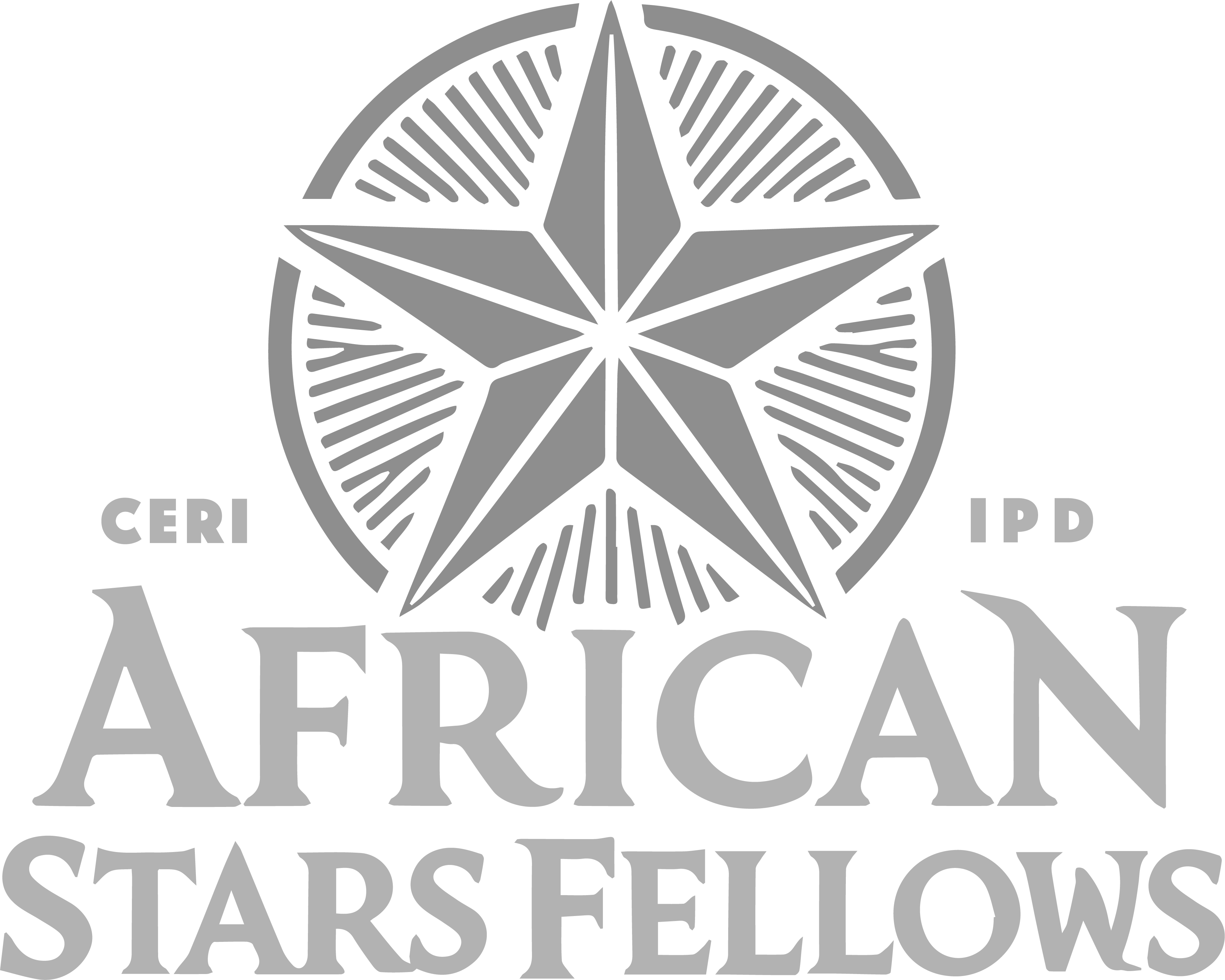 AfricaStarFellows